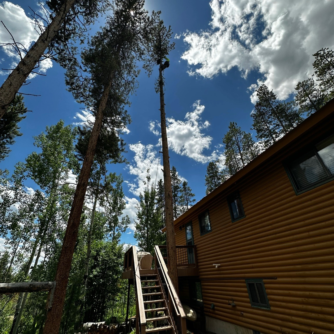 deck